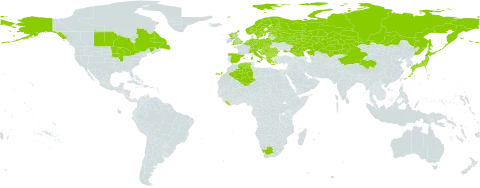 Gymnocarpium robertianum world distribution map, present in Albania, Andorra, Austria, Belgium, Bulgaria, Bosnia and Herzegovina, Belarus, Canada, Switzerland, China, Czech Republic, Germany, Algeria, Spain, Estonia, Finland, France, United Kingdom of Great Britain and Northern Ireland, Georgia, Greece, Croatia, Hungary, Italy, Japan, Kazakhstan, Liberia, Liechtenstein, Luxembourg, Latvia, North Macedonia, Montenegro, Netherlands, Norway, Poland, Romania, Russian Federation, Serbia, Slovakia, Sweden, Ukraine, United States of America, and South Africa