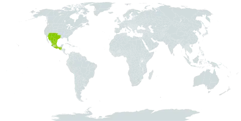 Gymnosperma glutinosum world distribution map, present in Guatemala, Mexico, and United States of America