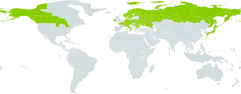 Hammarbya paludosa world distribution map, present in Austria, Bulgaria, Belarus, Canada, Switzerland, Czech Republic, Germany, Denmark, Finland, France, Hungary, Ireland, Italy, Japan, Netherlands, Norway, Poland, Romania, Russian Federation, Sweden, Ukraine, and United States of America