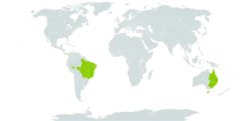 Handroanthus impetiginosus world distribution map, present in Australia, Brazil, and Panama