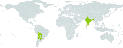 Harrisia pomanensis world distribution map, present in Argentina, Bolivia (Plurinational State of), India, Paraguay, and United States of America