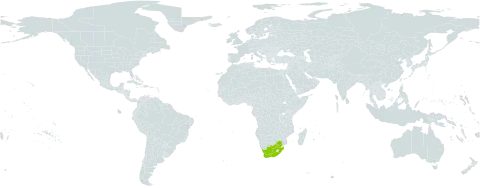 Haworthia cymbiformis world distribution map, present in South Africa