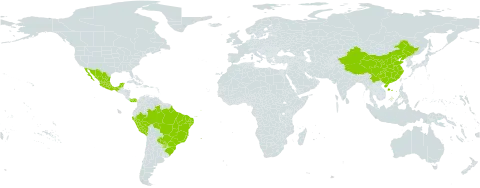 Hedyosmum world distribution map, present in Brazil, China, Mexico, Panama, Peru, and Paraguay