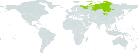 Hedysarum hedysaroides subsp. arcticum world distribution map, present in Mongolia and Russian Federation