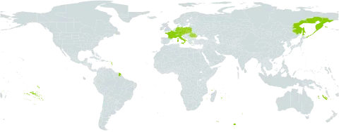 Hedysarum hedysaroides subsp. hedysaroides world distribution map, present in Austria, Switzerland, Czech Republic, Germany, France, Italy, Poland, Romania, Russian Federation, Slovakia, and Ukraine