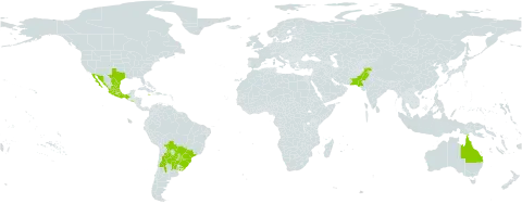 Heimia salicifolia world distribution map, present in Argentina, Australia, Bolivia (Plurinational State of), Brazil, Jamaica, Mexico, Pakistan, Paraguay, El Salvador, Uruguay, and United States of America