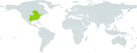 Helianthus mollis world distribution map, present in Canada and United States of America