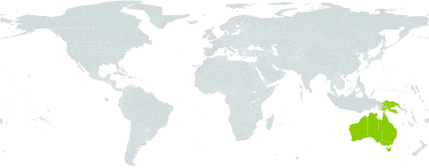 Heliotropium ventricosum world distribution map, present in Australia and Papua New Guinea