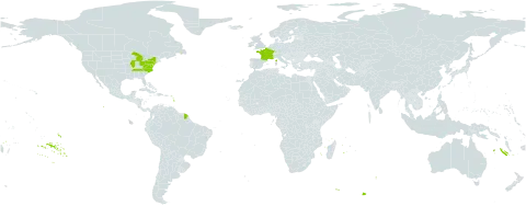 Helleborus viridis world distribution map, present in France and United States of America