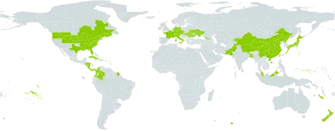 Hemerocallis fulva world distribution map, present in Åland Islands, Austria, Bangladesh, Canada, Switzerland, China, Colombia, Costa Rica, Cuba, Czech Republic, Germany, Dominica, France, Micronesia (Federated States of), Georgia, Honduras, Haiti, Hungary, Italy, Jamaica, Japan, Kyrgyzstan, Malaysia, Nicaragua, Nepal, New Zealand, Pakistan, Panama, Puerto Rico, Korea (Democratic People's Republic of), Romania, Turks and Caicos Islands, Taiwan, Province of China, Ukraine, and United States of America