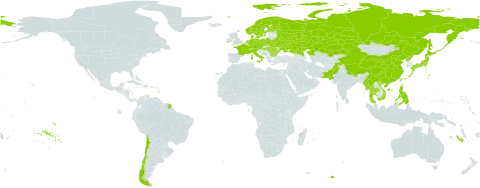 Herminium world distribution map, present in Austria, Bulgaria, Belarus, Switzerland, Chile, China, Czech Republic, Germany, Denmark, Finland, France, Hungary, Italy, Japan, Kazakhstan, Myanmar, Montenegro, Netherlands, Norway, Nepal, Pakistan, Philippines, Poland, Korea (Democratic People's Republic of), Romania, Russian Federation, Sweden, Thailand, Taiwan, Province of China, Ukraine, and Viet Nam