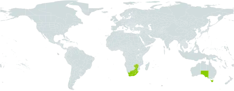 Hesperantha coccinea world distribution map, present in Australia, Lesotho, eSwatini, South Africa, and Zimbabwe