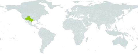Hesperidanthus linearifolius world distribution map, present in United States of America