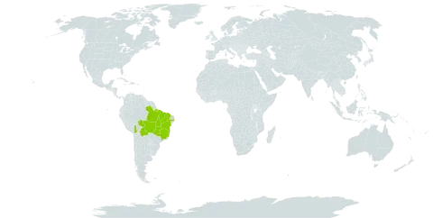 Heteropterys rubiginosa world distribution map, present in Bolivia (Plurinational State of) and Brazil