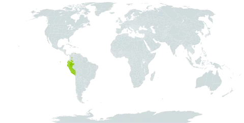 Heteropterys uribei world distribution map, present in Colombia, Ecuador, Peru, and Venezuela (Bolivarian Republic of)