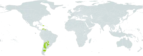Heterostachys ritteriana world distribution map, present in Argentina, Colombia, Dominican Republic, Haiti, Paraguay, Uruguay, and Venezuela (Bolivarian Republic of)