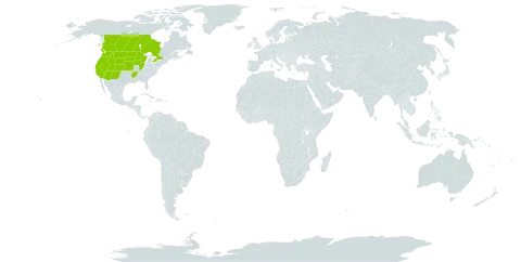 Heterotheca villosa var. minor world distribution map, present in Canada and United States of America