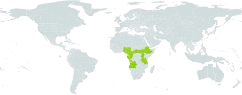 Heterotis decumbens world distribution map, present in Angola, Central African Republic, Cameroon, Congo, Ethiopia, Gabon, Equatorial Guinea, Mauritius, Nigeria, Réunion, South Sudan, Tanzania, United Republic of, and Uganda