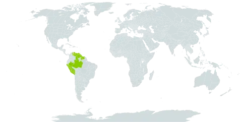Hevea pauciflora world distribution map, present in Brazil, Guyana, Peru, Suriname, and Venezuela (Bolivarian Republic of)