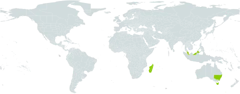 Hibbertia world distribution map, present in Australia, Hong Kong, Madagascar, and Malaysia