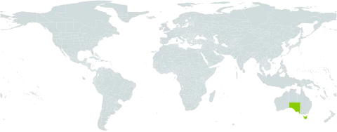 Hibbertia inconspicua world distribution map, present in Australia
