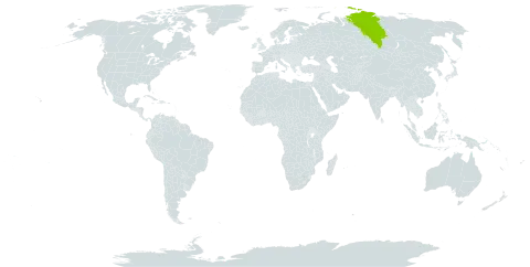Hieracium nasimovae world distribution map, present in Russian Federation