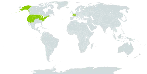 Hierochloe odorata world distribution map, present in France and United States of America