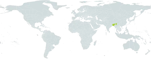 Hiptage acuminata world distribution map, present in Bangladesh, China, India, and Myanmar
