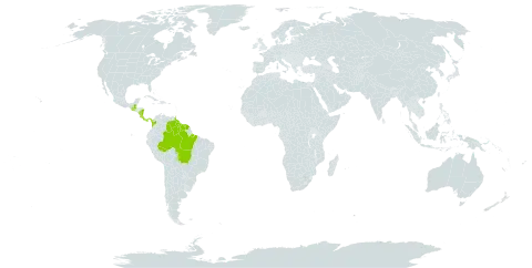 Hiraea faginea world distribution map, present in Brazil, Colombia, Costa Rica, Grenada, Guatemala, French Guiana, Guyana, Saint Lucia, Nicaragua, Panama, Suriname, Trinidad and Tobago, and Venezuela (Bolivarian Republic of)