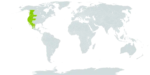 Holodiscus discolor world distribution map, present in Canada, Mexico, and United States of America