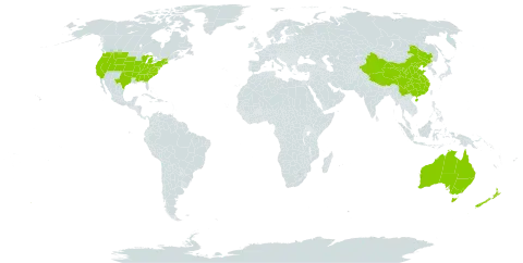 Holosteum world distribution map, present in Australia, China, New Zealand, and United States of America