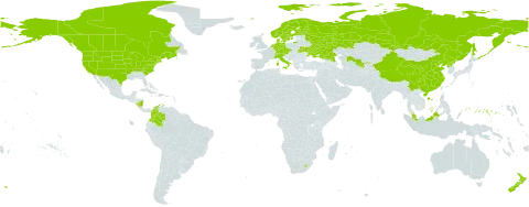 Hordeum jubatum world distribution map, present in Austria, Canada, Switzerland, China, Colombia, Czech Republic, Germany, Denmark, Finland, Falkland Islands (Malvinas), France, Micronesia (Federated States of), Italy, Lesotho, Malaysia, Nicaragua, Netherlands, Norway, New Zealand, Korea (Democratic People's Republic of), Russian Federation, Sweden, Ukraine, United States of America, and Uzbekistan