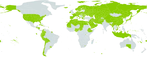 Hordeum world distribution map, present in Afghanistan, Åland Islands, Albania, Australia, Austria, Bangladesh, Bulgaria, Belarus, Bermuda, Bolivia (Plurinational State of), Switzerland, Chile, China, Colombia, Cuba, Cyprus, Czech Republic, Germany, Dominica, Denmark, Algeria, Ecuador, Egypt, Spain, Ethiopia, Finland, Fiji, Falkland Islands (Malvinas), France, Micronesia (Federated States of), Georgia, Greece, Guatemala, Honduras, Haiti, Hungary, Indonesia, Ireland, Iran (Islamic Republic of), Iraq, Iceland, Italy, Japan, Kazakhstan, Kyrgyzstan, Kuwait, Libya, Lesotho, Morocco, Myanmar, Montenegro, Mauritania, Malaysia, Norfolk Island, Nigeria, Nicaragua, Netherlands, Norway, Nepal, Oman, Pakistan, Peru, Palau, Poland, Korea (Democratic People's Republic of), Portugal, Romania, Russian Federation, Rwanda, Saudi Arabia, Singapore, Sweden, Turks and Caicos Islands, Chad, Turkmenistan, Tunisia, Taiwan, Province of China, Ukraine, Uruguay, United States of America, Uzbekistan, Viet Nam, and Yemen