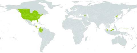 Hordeum pusillum world distribution map, present in Åland Islands, Bermuda, Canada, Colombia, Micronesia (Federated States of), Georgia, Malaysia, Nicaragua, Korea (Democratic People's Republic of), and United States of America