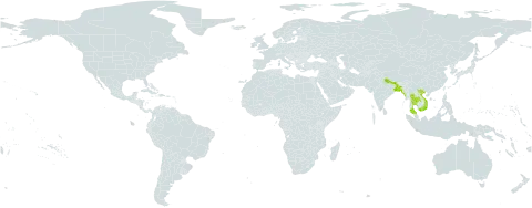 Horsfieldia kingii world distribution map, present in Bangladesh, China, India, Myanmar, Nepal, Thailand, and Viet Nam