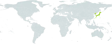 Hosta longipes world distribution map, present in Japan and Korea (Democratic People's Republic of)