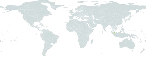 Hoya pusilla world distribution map, present in Malaysia