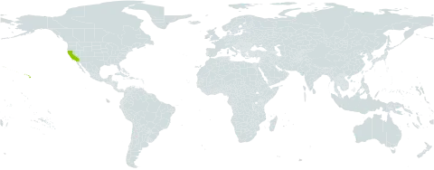 Hunnemannia world distribution map, present in United States of America