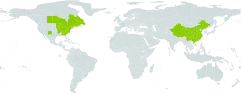 Huperzia lucidula world distribution map, present in Canada, China, France, Saint Pierre and Miquelon, and United States of America