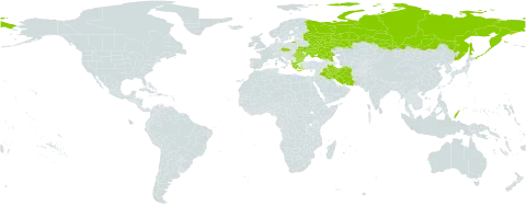 Hyacinthella world distribution map, present in Albania, Bulgaria, Cyprus, Czech Republic, Greece, Iran (Islamic Republic of), Iraq, Palau, Romania, Russian Federation, Turks and Caicos Islands, and Ukraine