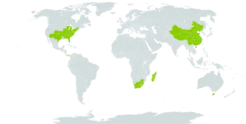 Hybanthus world distribution map, present in Australia, China, Madagascar, Panama, United States of America, and South Africa