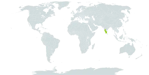 Hydnocarpus alpina world distribution map, present in India
