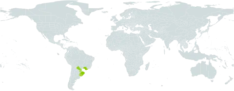 Hydrocotyle exigua world distribution map, present in Brazil, Paraguay, and Uruguay