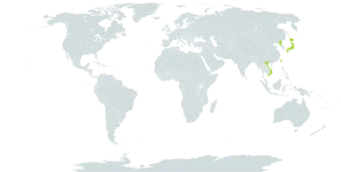 Hydrocotyle ramiflora world distribution map, present in Japan, Korea (Democratic People's Republic of), Turks and Caicos Islands, Taiwan, Province of China, and Viet Nam