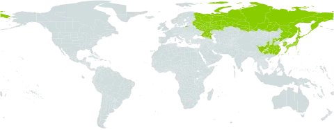 Hylodesmum oldhamii world distribution map, present in China, Japan, Korea (Republic of), and Russian Federation
