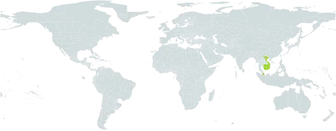 Hylomyza oresitropha world distribution map, present in Cambodia, Malaysia, and Viet Nam