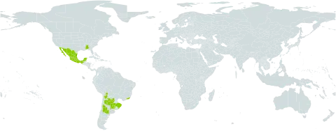 Hymenoxys anthemoides world distribution map, present in Argentina, Bolivia (Plurinational State of), Brazil, Mexico, Paraguay, Uruguay, and United States of America