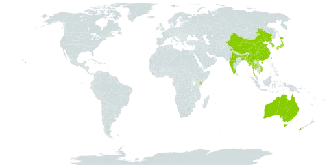 Hypericum japonicum world distribution map, present in Australia, Bangladesh, China, India, Japan, Kenya, Korea (Republic of), Sri Lanka, Myanmar, New Zealand, Korea (Democratic People's Republic of), Thailand, Taiwan, Province of China, United States of America, and Viet Nam