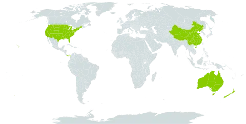 Hypericum world distribution map, present in Australia, China, New Zealand, Panama, and United States of America