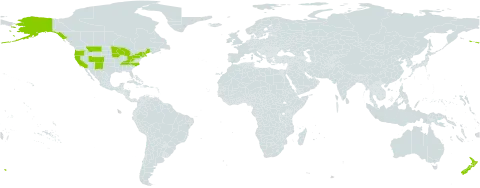 Iberis world distribution map, present in New Zealand and United States of America